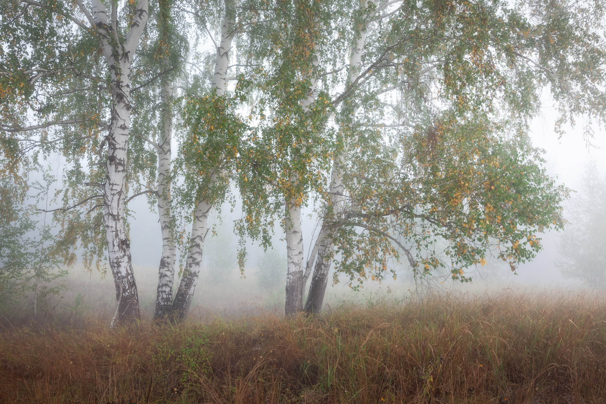 Фото пейзажа